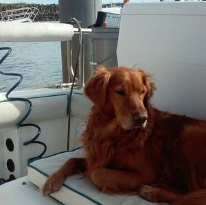 Meet your Posher, Scott